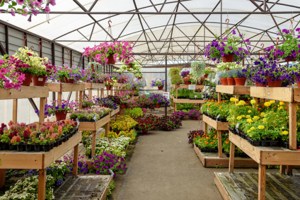 Retail Greenhouse & Landscape Contractor