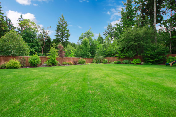 Lawn Care - Spraying & Seeding