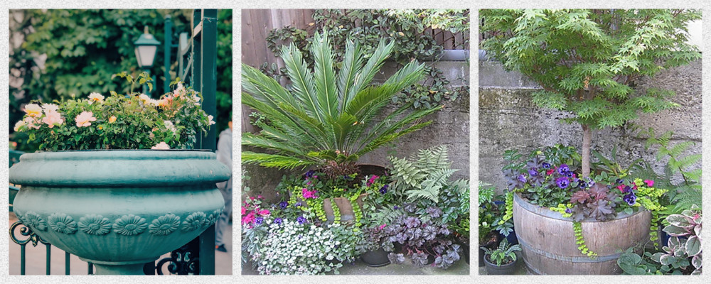Indoor & Outdoor Sustainable Landscaping Services