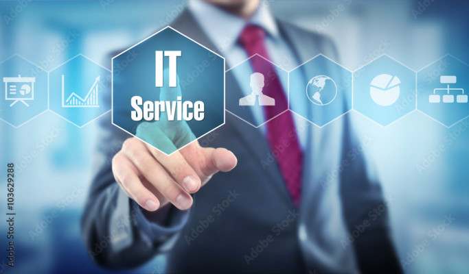 4 Yr Old It Services Business With 33% Growth