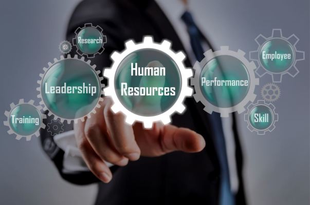 Nor Cal HR Services Consulting Business
