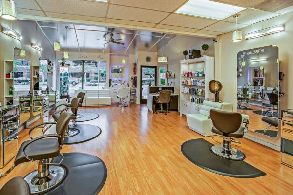 Profitable High End Full Service Salon and Spa
