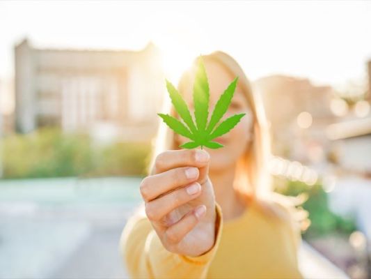 Cannabis Delivery Service Business