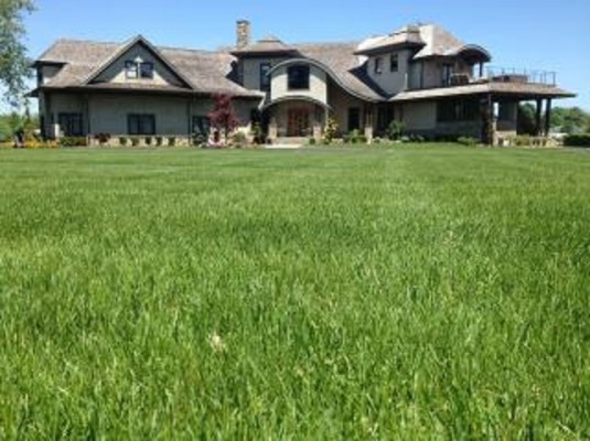 Landscaping Company for Sale in NY