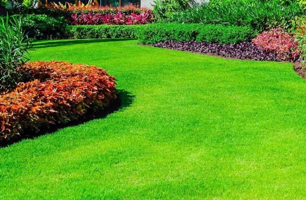 Treasure Coast Lawn & Landscape Business