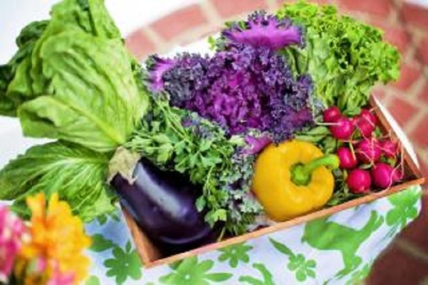 Wellness Center for Sale in Westchester County
