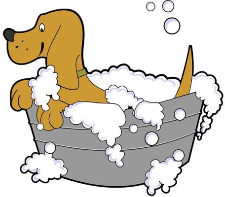 Pet Grooming