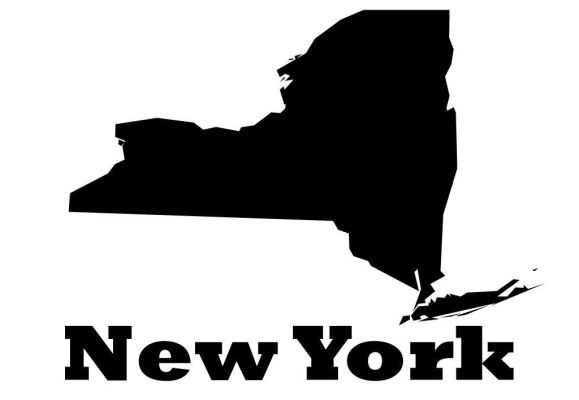 Northern Westchester New York Practice For Sale