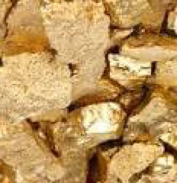 Gold Mine Claim for Sale
