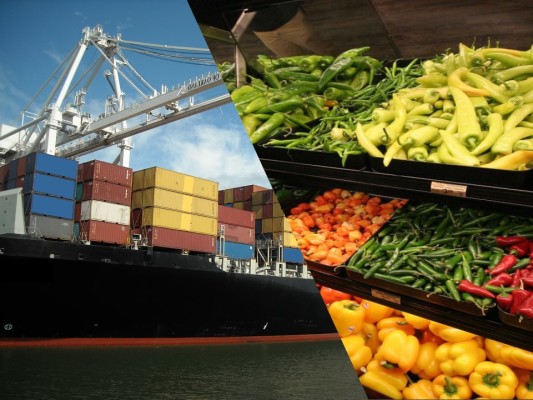 Leading International Produce & Meat Exporter