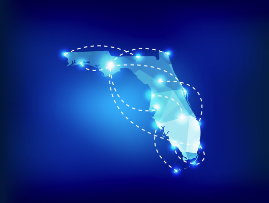 Manufacturing Company - Internet Sales & Growth