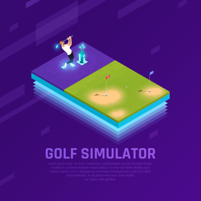 Custom Sports Simulation - Design and Installation