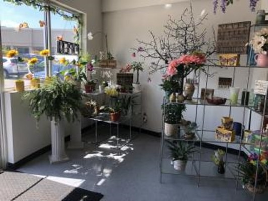 Established Flowershop in Westchester County, NY