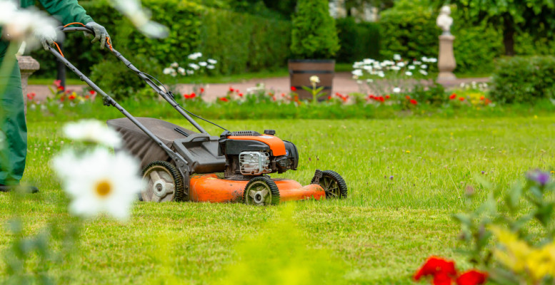 Garden Maintenance and Lawn Mowing Business for Sale