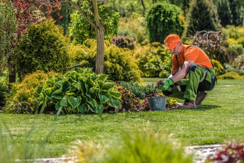 Santa Barbara Cnty Landscape Maintenance Business