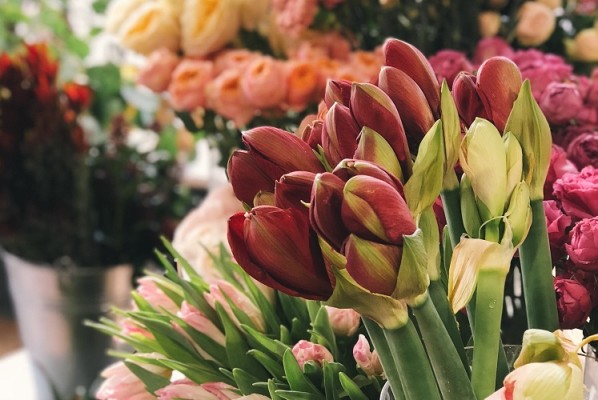 Florist - 80% Online & Phone Sales