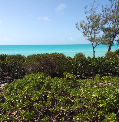 Bahamas Island Home for Sale