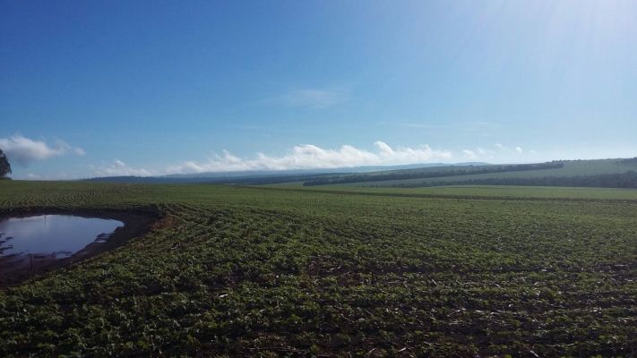 12,918 Acres of Prime Soy Bean Agriculture Land
