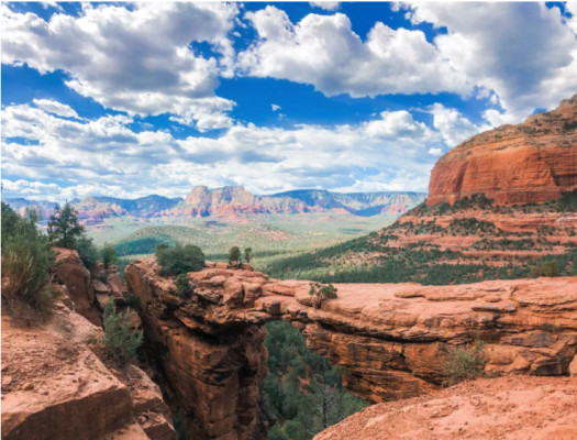 Veterinary Practice For Sale In Sedona, AZ