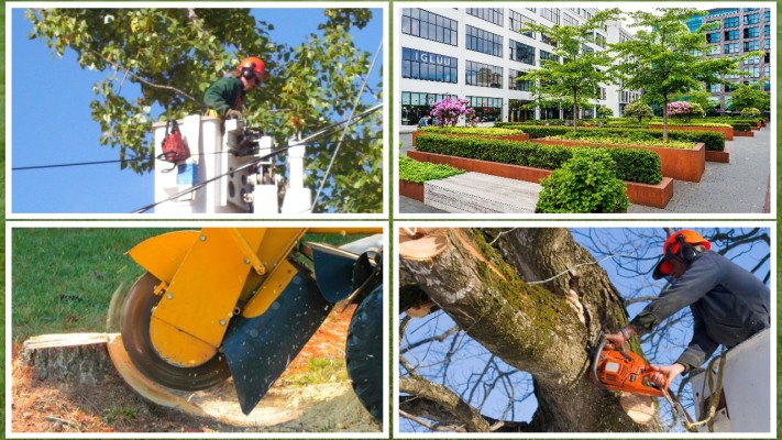 Commercial and Residential Tree Services