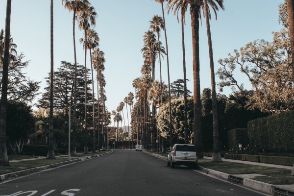 Burbank CPA Firm For Sale