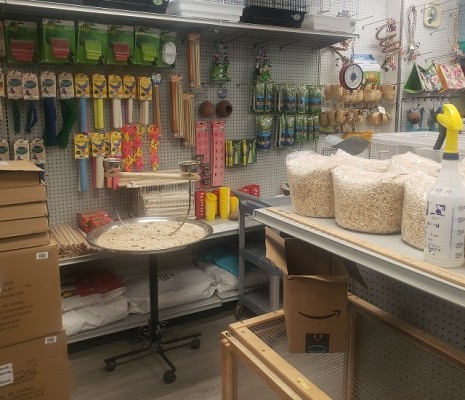 Pet Store & Birds Business for Sale in NY
