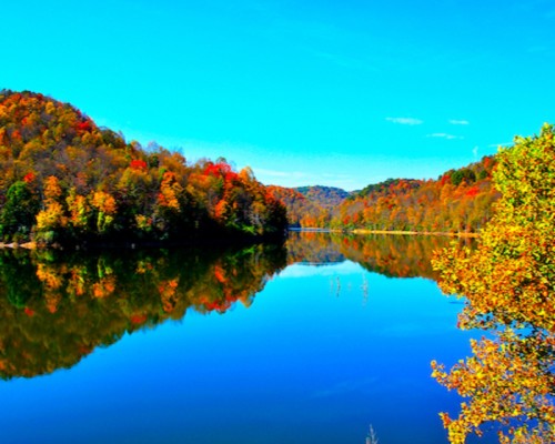 Chiropractic Practice for Sale in Buckhannon, WV