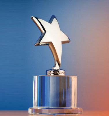 Established Manufacturer of Awards