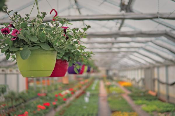 Longstanding Retail Garden Center