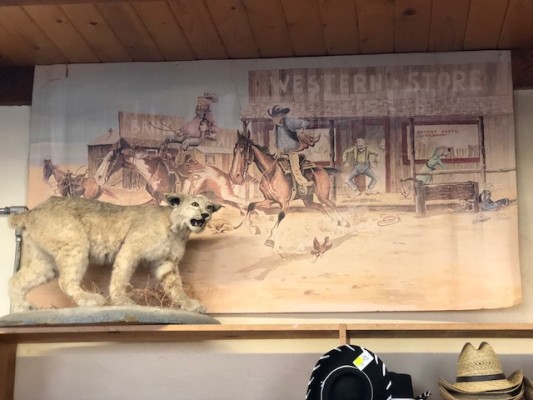 Historic Lone Pine Retail Real Estate Property