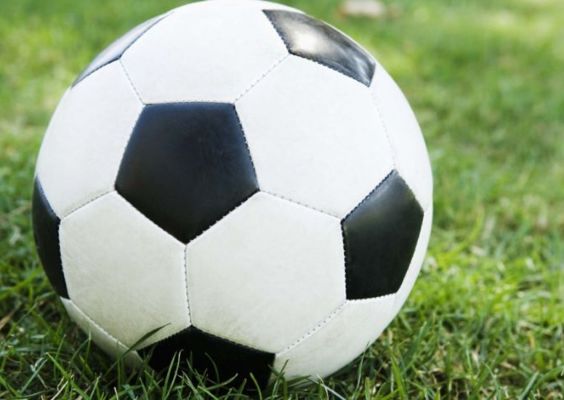 Successful Specialty Sporting Goods Retailer