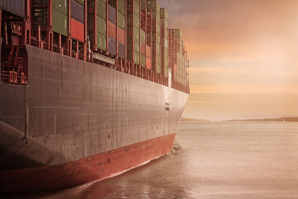 North American Logistics & Customs Clearance Firm