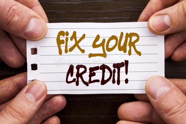 Very Profitable Credit Repair Biz: $659k SDE