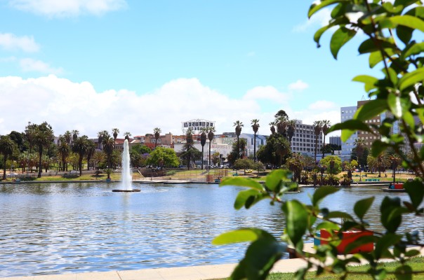 Westlake Village CPA Firm for Sale