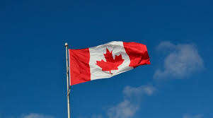 Active MSB-company in Canada for Sale