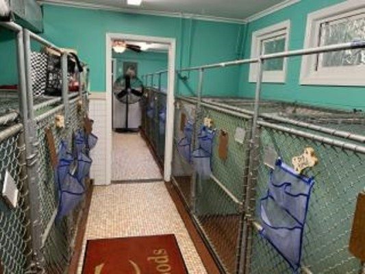 Pet Board and Groom Business for Sale in NY