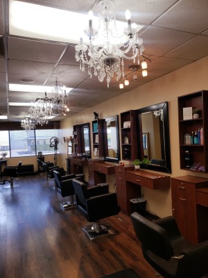Salon for Salon, 15 yr History