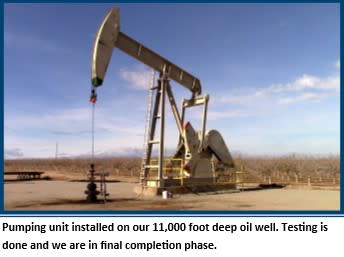 10% Working Interest Completed Oil Well $750,000