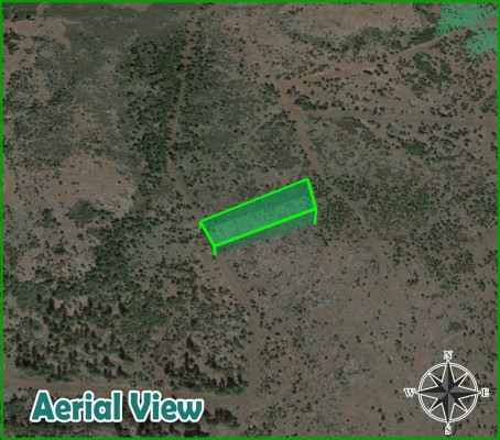 1.17 Acre-land Nestled in Modoc County, CA