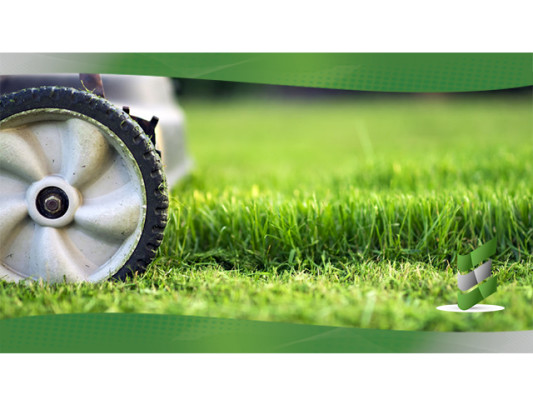 Landscape Maintenance Business Opportunity
