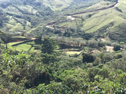 Costa Rica Coffee Farm and Mill