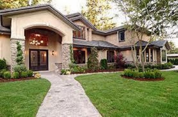 Tree Service Business in Nassau County