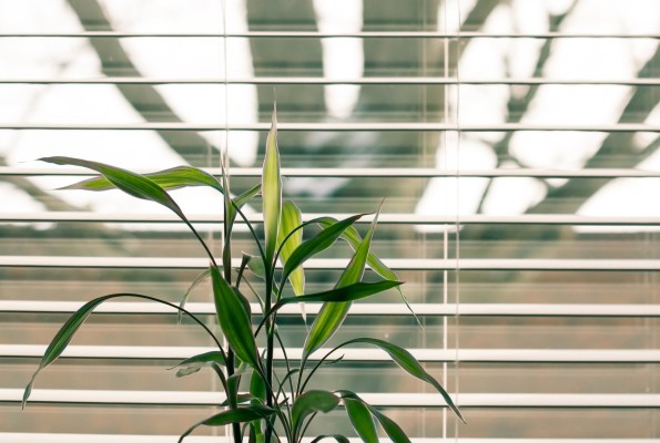 Window Coverings Business - Two SF Bay Area Stores