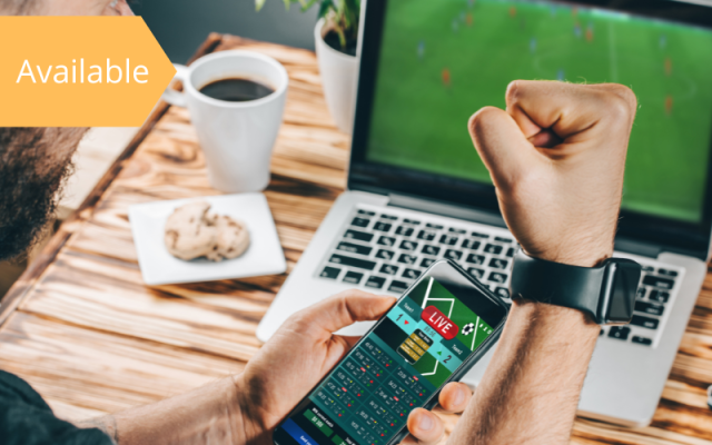 Lucrative Fantasy Sports Gaming App
