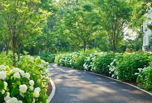 Reputable Landscaping Company with Loyal Clientele