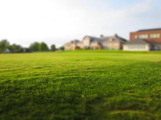 Lawn Maintenance Business - Commercial