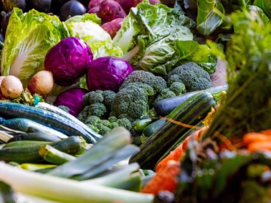 Juice Your Way to a Healthy Lifestyle