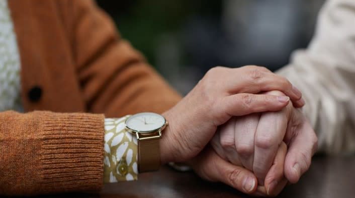 Non-Franchise Personal Home Care Business - NE GA
