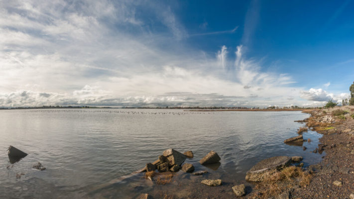 East Bay EA Firm For Sale