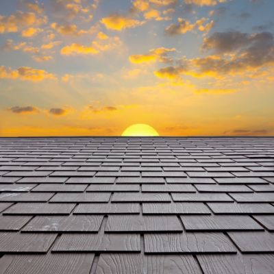Highly Profitable Roofing & Restoration Company